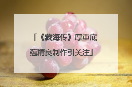 《藏海传》厚重底蕴精良制作引关注