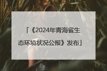 《2024年青海省生态环境状况公报》发布
