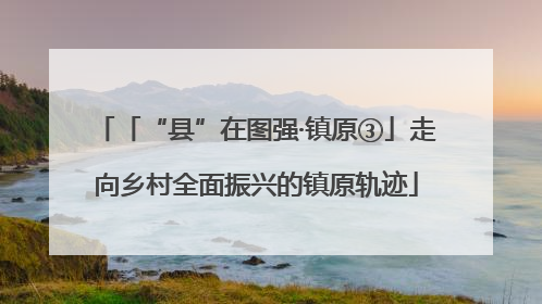 「“县”在图强·镇原③」走向乡村全面振兴的镇原轨迹