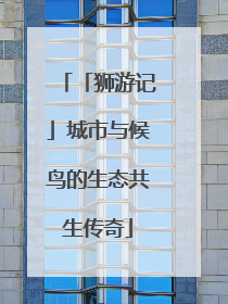 「狮游记」城市与候鸟的生态共生传奇