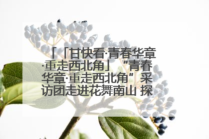 「甘快看·青春华章·重走西北角」“青春华章·重走西北角”采访团走进花舞南山 探寻天水乡村振兴之路