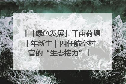 「绿色发展」千亩荷塘 十年新生｜四任航空村官的“生态接力”