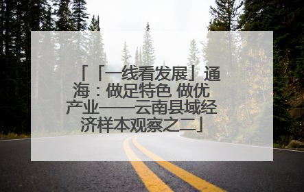 「一线看发展」通海：做足特色 做优产业——云南县域经济样本观察之二