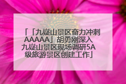 「九嶷山景区奋力冲刺AAAAA」胡勇刚深入九嶷山景区现场调研5A级旅游景区创建工作