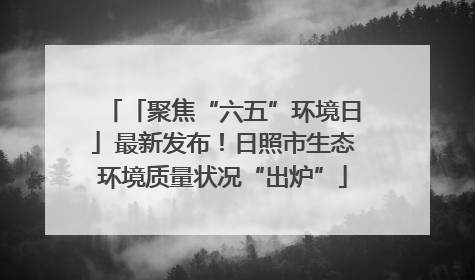 「聚焦“六五”环境日」最新发布！日照市生态环境质量状况“出炉”