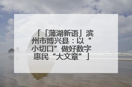 「蒲湖新语」滨州市博兴县：以“小切口”做好数字惠民“大文章”