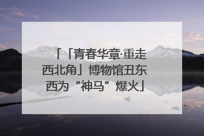 「青春华章·重走西北角」博物馆丑东西为“神马”爆火