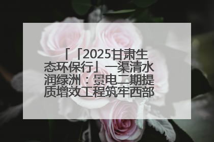 「2025甘肃生态环保行」一渠清水润绿洲：景电二期提质增效工程筑牢西部生态安全屏障