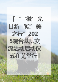 “‘徽’光日新‘皖’美之行”2025皖台基层交流活动启动仪式在芜举行