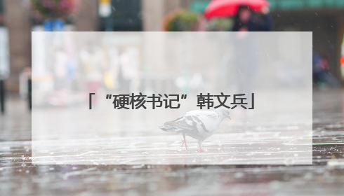 “硬核书记”韩文兵