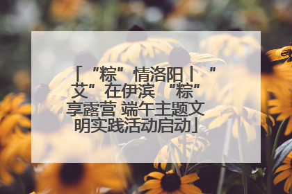 “粽”情洛阳丨“艾”在伊滨 “粽”享露营 端午主题文明实践活动启动
