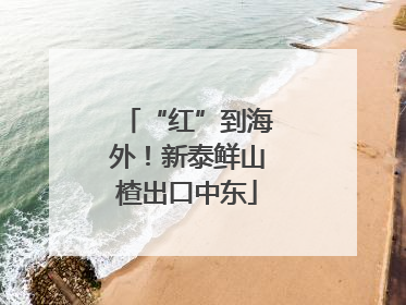 “红”到海外！新泰鲜山楂出口中东