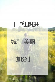 “红树进城” 美丽加分