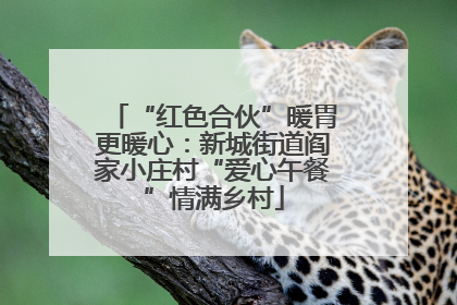 “红色合伙”暖胃更暖心：新城街道阎家小庄村“爱心午餐”情满乡村