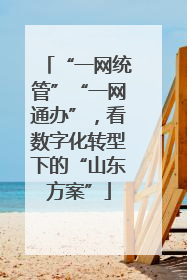 “一网统管”“一网通办”，看数字化转型下的“山东方案”