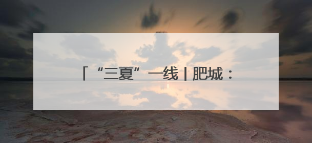 “三夏”一线丨肥城：探索“菌果蔬”轮作模式 助力农民增收致富