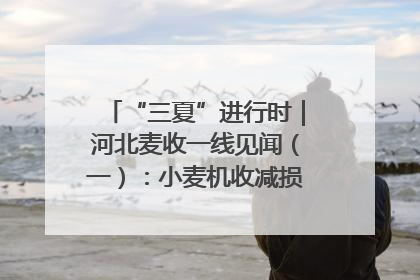 “三夏”进行时｜河北麦收一线见闻（一）：小麦机收减损“竞技” 农机高手麦田“过招”