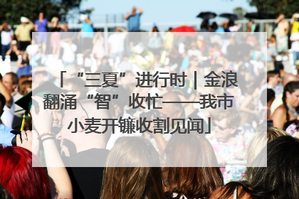 “三夏”进行时｜金浪翻涌“智”收忙——我市小麦开镰收割见闻