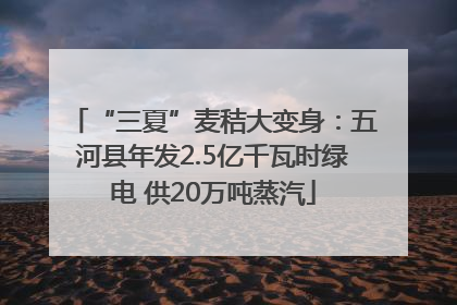 “三夏”麦秸大变身：五河县年发2.5亿千瓦时绿电 供20万吨蒸汽