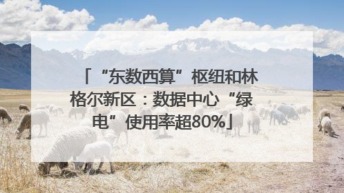 “东数西算”枢纽和林格尔新区：数据中心“绿电”使用率超80%