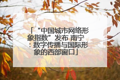 “中国城市网络形象指数”发布 南宁：数字传播与国际形象的西部窗口