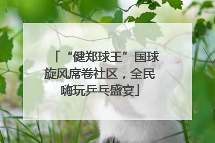 “健郑球王”国球旋风席卷社区，全民嗨玩乒乓盛宴