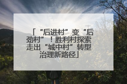 “后进村”变“后劲村”！胜利村探索走出“城中村”转型治理新路径