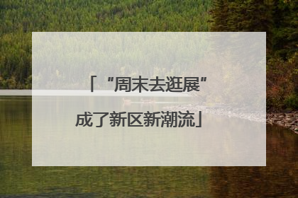 “周末去逛展”成了新区新潮流