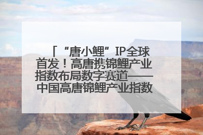 “唐小鲤”IP全球首发！高唐携锦鲤产业指数布局数字赛道——中国高唐锦鲤产业指数暨“唐小鲤”IP全球首发仪式在杭州举行