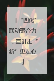 “四化”联动聚合力，宣讲走“新”更走心