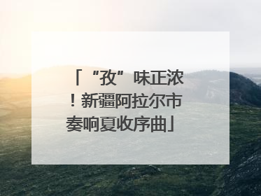 “孜”味正浓！新疆阿拉尔市奏响夏收序曲