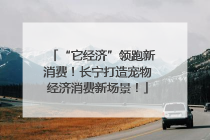“它经济”领跑新消费！长宁打造宠物经济消费新场景！