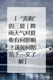 “奔跑”的三夏｜降雨天气对夏收有何影响？该如何防范？一文了解