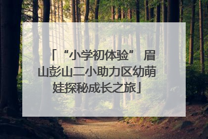 “小学初体验” 眉山彭山二小助力区幼萌娃探秘成长之旅