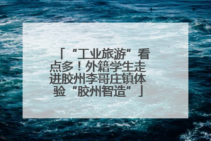 “工业旅游”看点多！外籍学生走进胶州李哥庄镇体验“胶州智造”