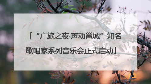 “广旅之夜·声动邕城”知名歌唱家系列音乐会正式启动