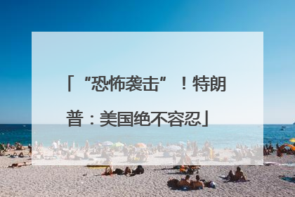 “恐怖袭击”！特朗普：美国绝不容忍