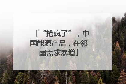 “抢疯了”，中国能源产品，在邻国需求暴增