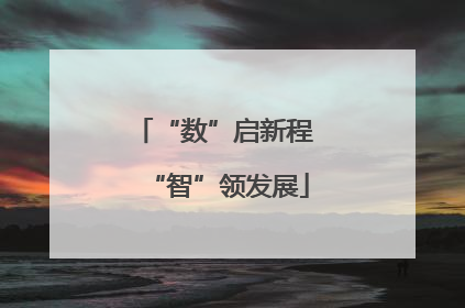 “数”启新程 “智”领发展