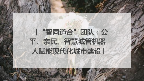 “智同道合”团队：公平、亲民、智慧城管机器人赋能现代化城市建设