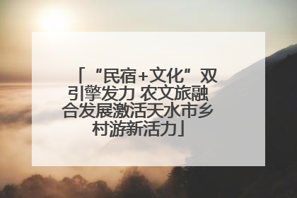 “民宿+文化”双引擎发力 农文旅融合发展激活天水市乡村游新活力