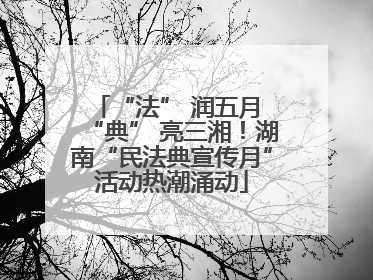 “法” 润五月 “典” 亮三湘！湖南“民法典宣传月”活动热潮涌动