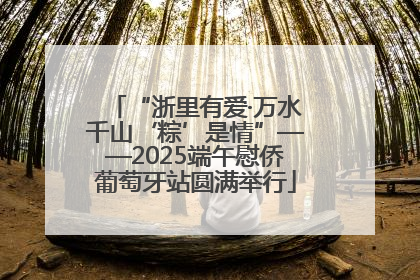 “浙里有爱·万水千山‘粽’是情”——2025端午慰侨葡萄牙站圆满举行