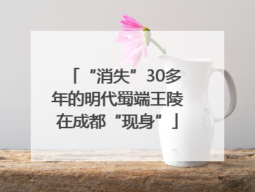 “消失”30多年的明代蜀端王陵在成都“现身”