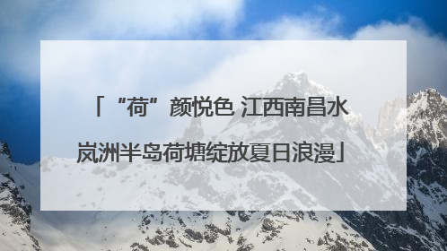 “荷”颜悦色 江西南昌水岚洲半岛荷塘绽放夏日浪漫