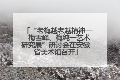 “老梅越老越精神——梅雪峰、梅纯一艺术研究展”研讨会在安徽省美术馆召开