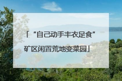 “自己动手丰衣足食”矿区闲置荒地变菜园
