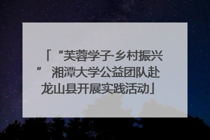 “芙蓉学子·乡村振兴” 湘潭大学公益团队赴龙山县开展实践活动