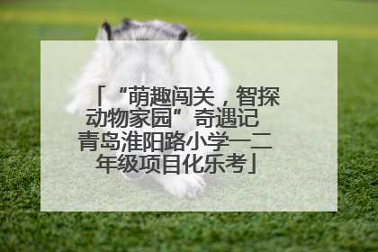 “萌趣闯关，智探动物家园”奇遇记 青岛淮阳路小学一二年级项目化乐考