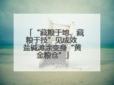 “藏粮于地、藏粮于技”见成效 盐碱滩涂变身“黄金粮仓”